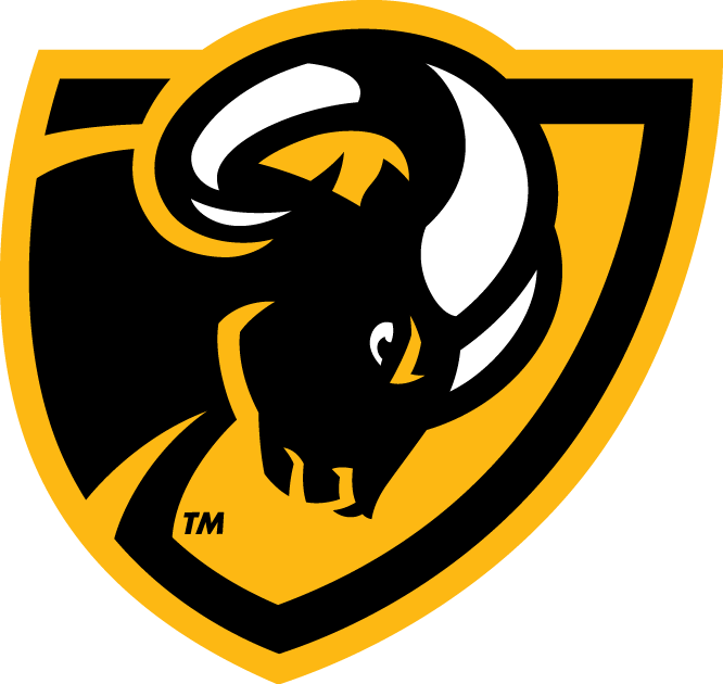Virginia Commonwealth Rams 2014-Pres Secondary Logo t shirts iron on transfers